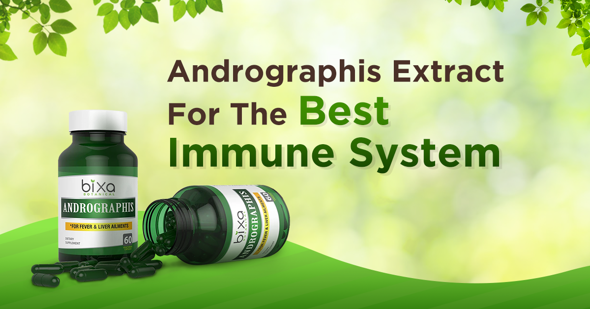 Andrographis Extract For The Best Immune System